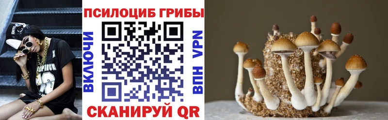 Галлюциногенные грибы Psilocybe  сколько стоит  Белёв 